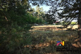 Atrakcyjna DziaŁka W Wilkanowie